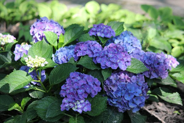 Revitalize your uk home office: clever strategies to reduce eye strain and boost natural light